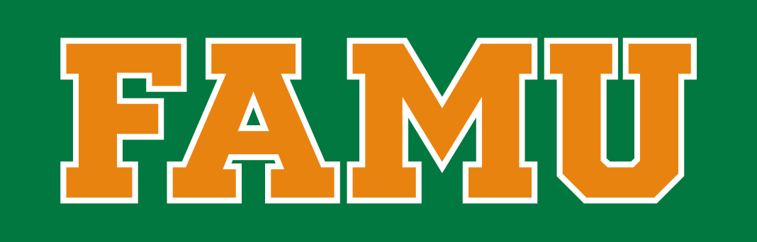 Florida A&M Rattlers 2013-pres wordmark logo diy iron on heat transfer